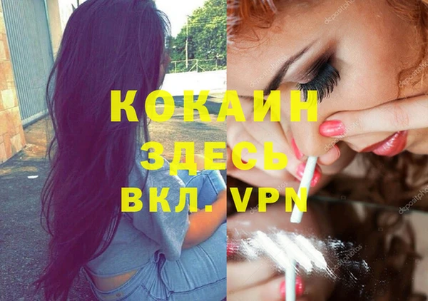 меф Дмитриев