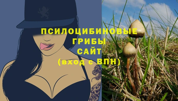 меф Дмитриев