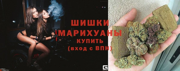 крисы Дмитровск