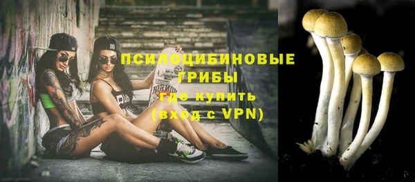 дживик Нея