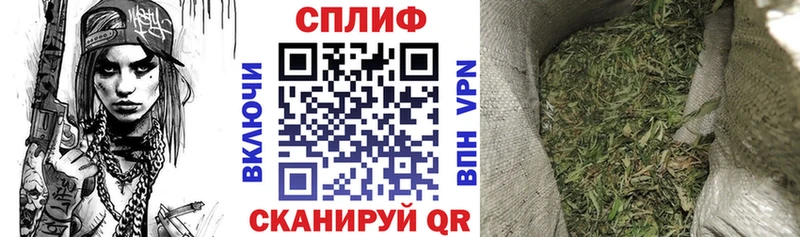 MEGA как зайти  Новая Ладога  Конопля тримм 
